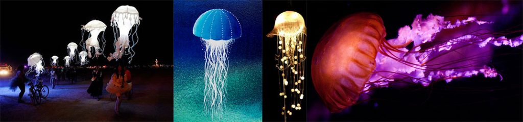 jellyfishess