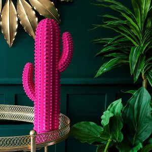 Hot pink cactus with rounded dot decoration 